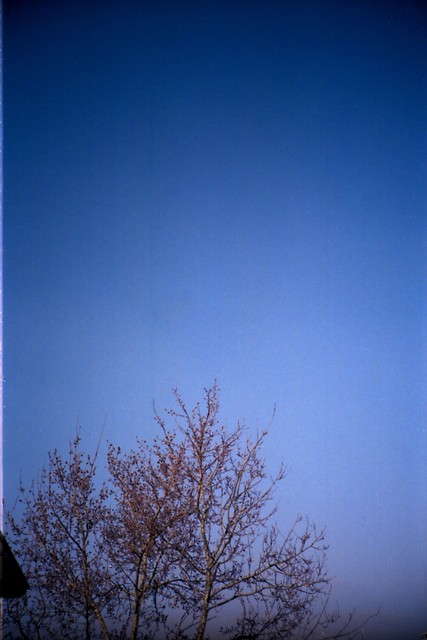 analogowo