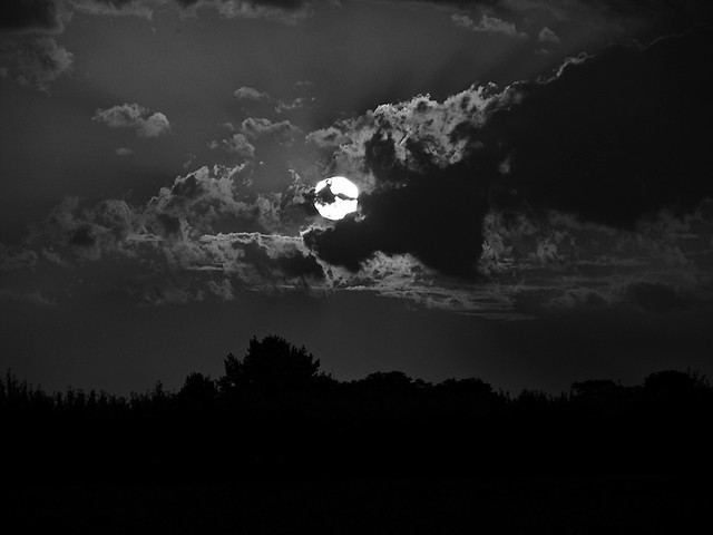 emptiness and nothingness.