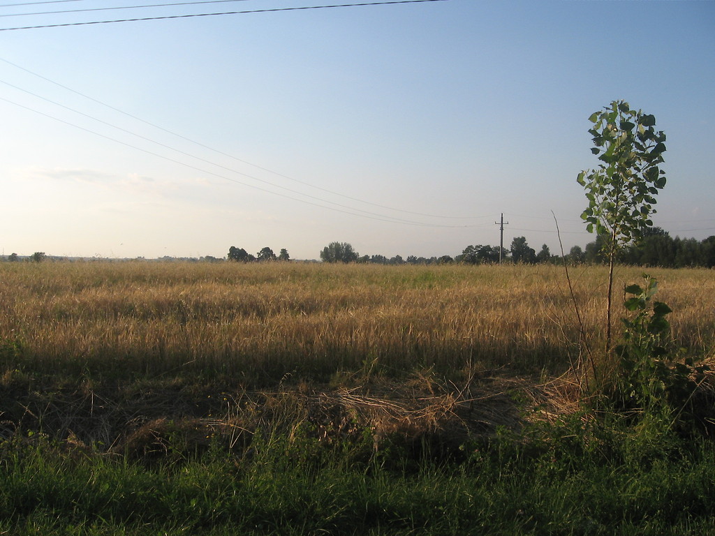 to jest za atwe.