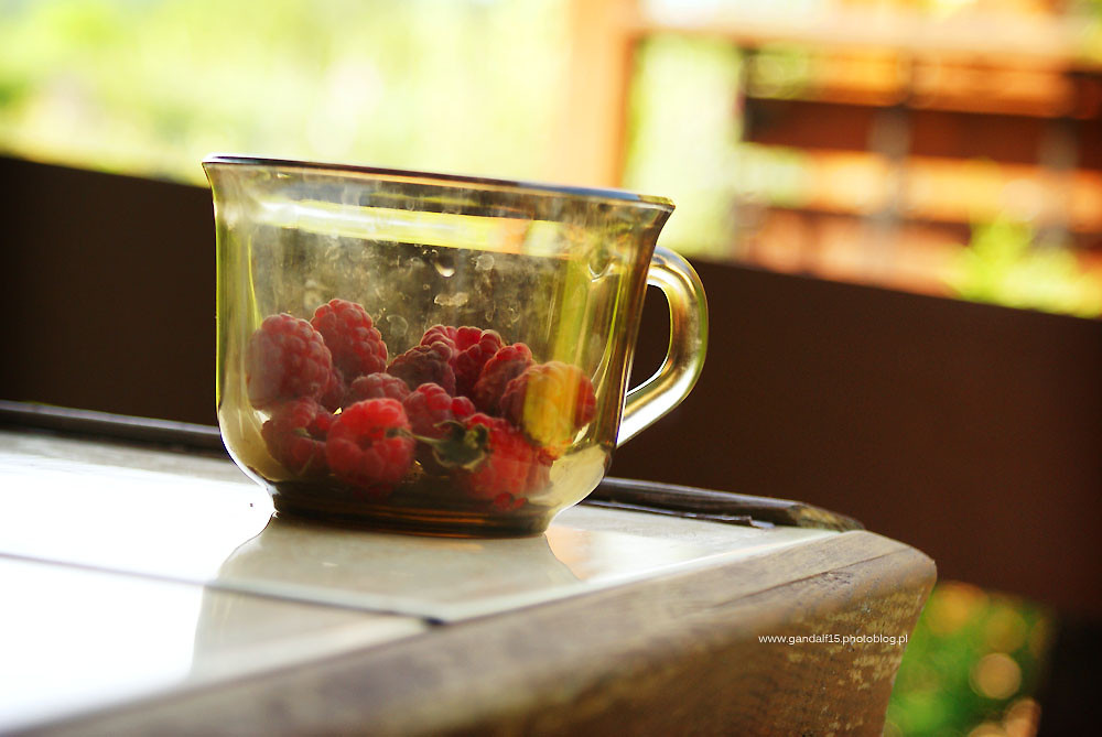602. Glass & raspberry bush
