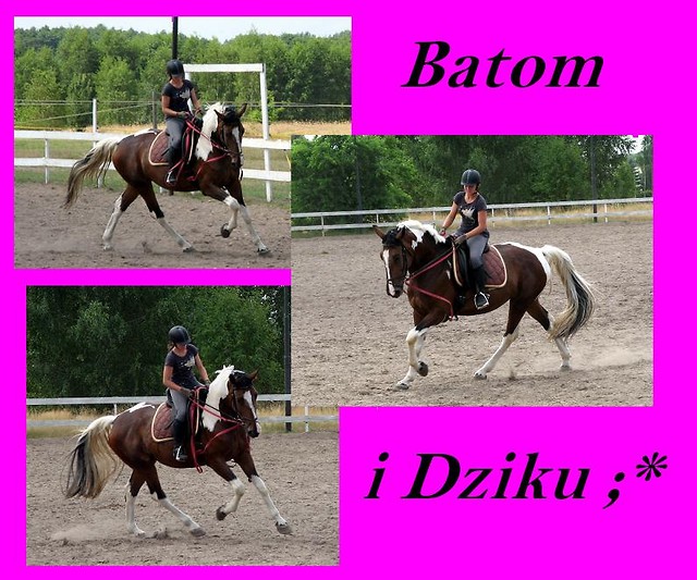 Dzikowooo.