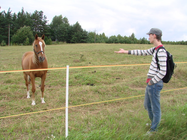 konik:D