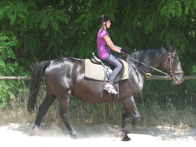 Kolonia- Przylep 2010