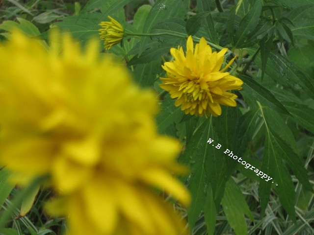 Photography.
