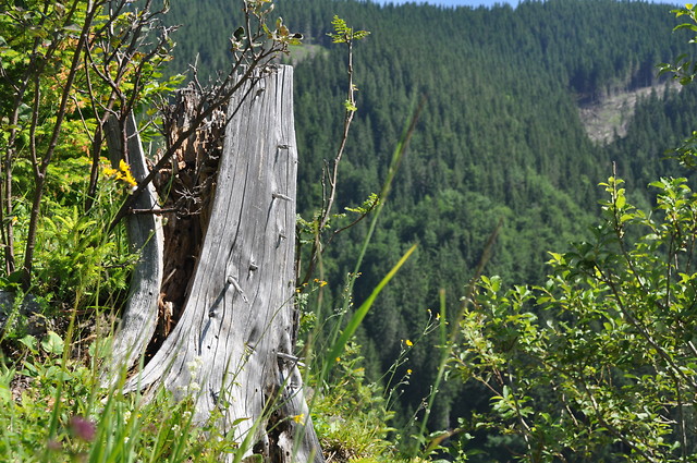 Zakopane.