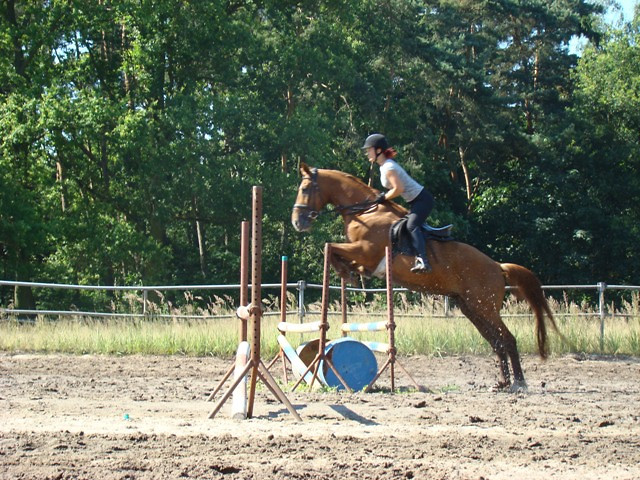 Amancik  ;*