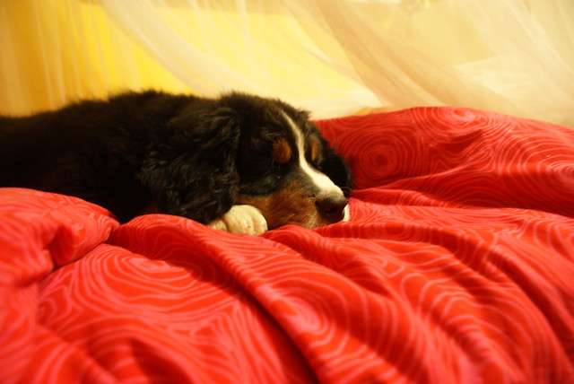 moje sonce < 33