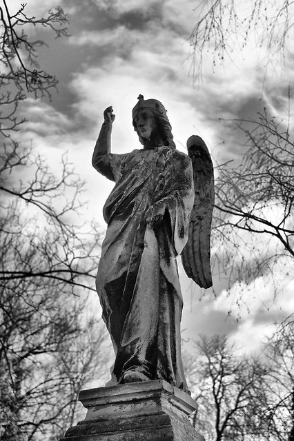 when angels deserve to...