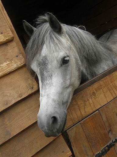 ` Serekk ;***
