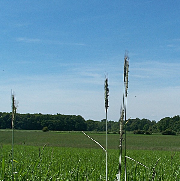Zapomnienia chwila 