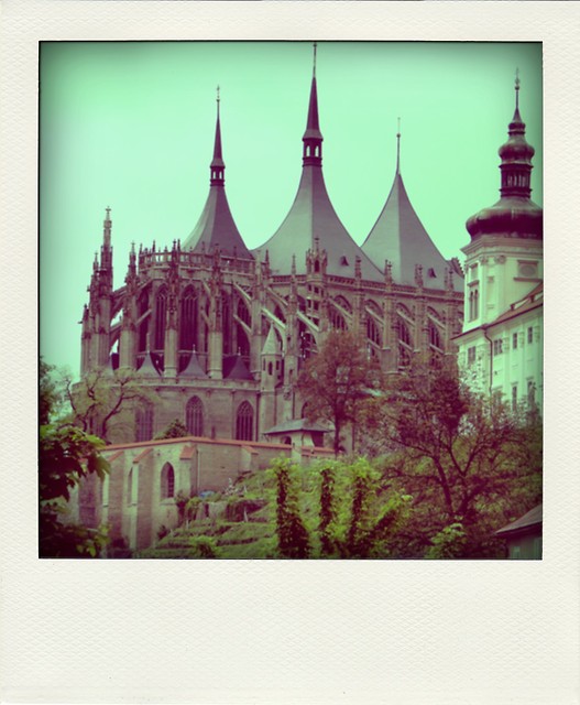 polaroid