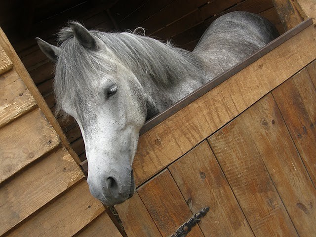 Spencer ;**