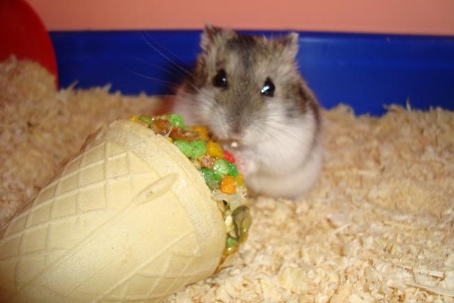 Czubu:***