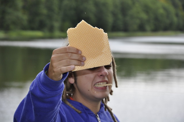 Gdyby wafel mg powiedzie stop