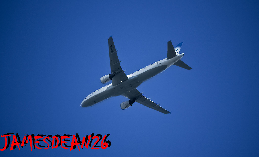 FREE BIRD AIRLANES