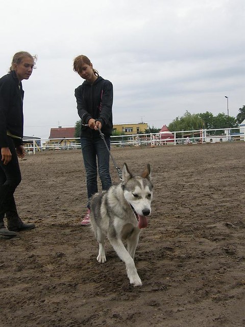 mieszne xD
