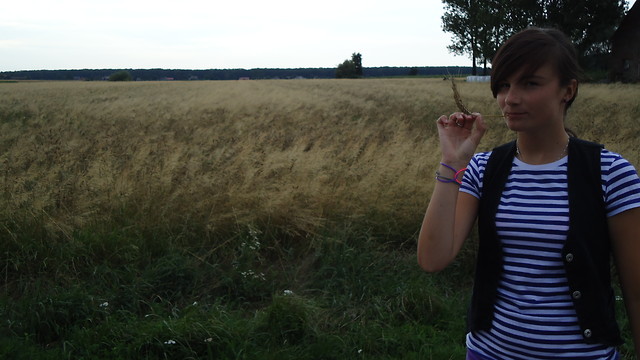 Fields