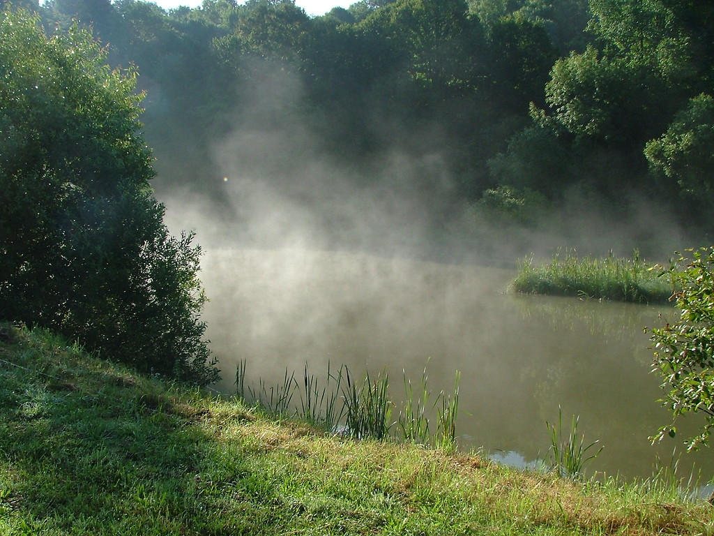 Skorodne 2009