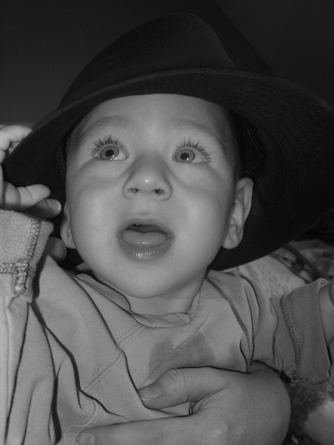 Misiek ;**