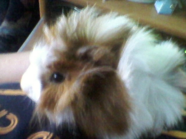 Marianek^^