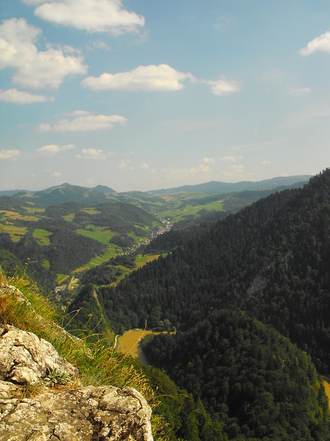 Sokolica