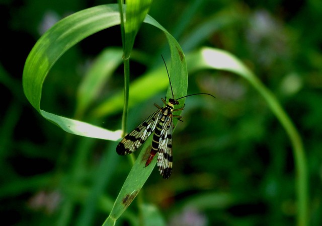 Podlasie 2010