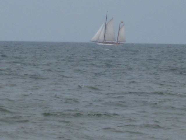 aglwka 