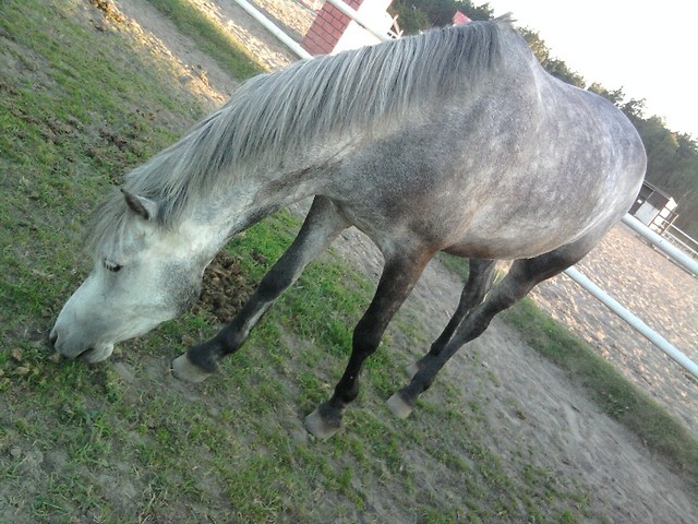 Spencer ;*