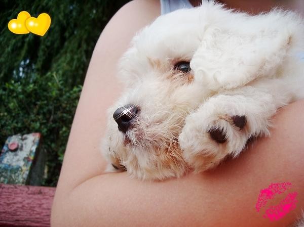 Rufik... ;**