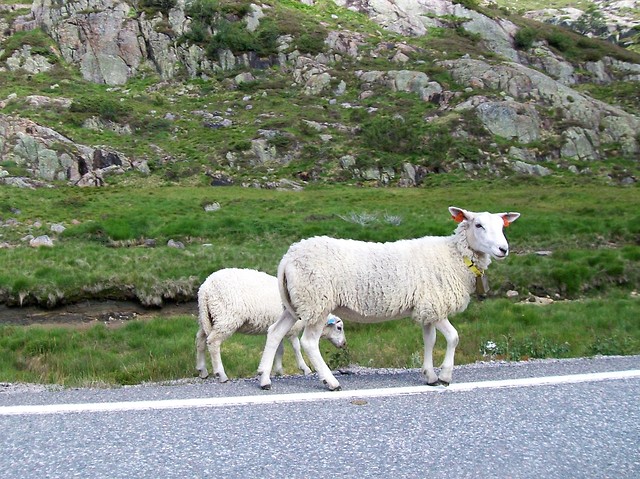 brumm