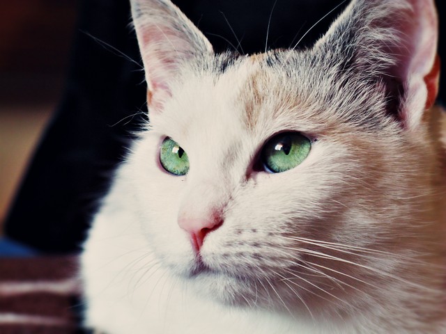 Betty 