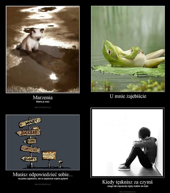 ; x