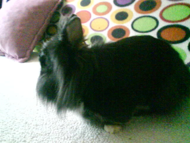 Zuzia ;3