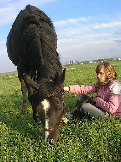 Bez Tytuu