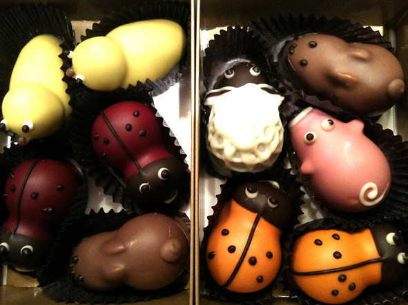 CANDY 