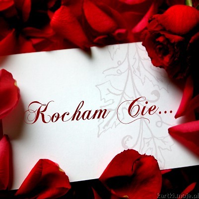 Kocham Cie