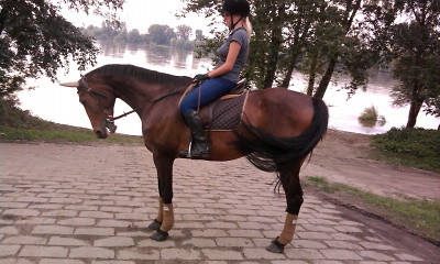 Bartman;*