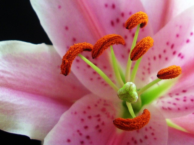 # 252 .