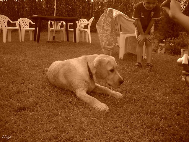 Gotowa sadzonka . =)