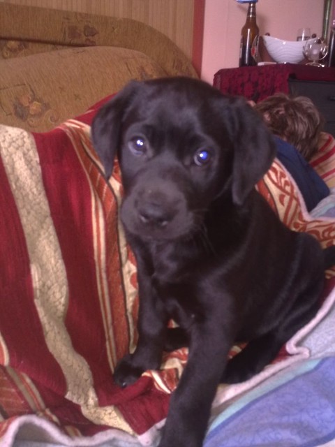 Ares