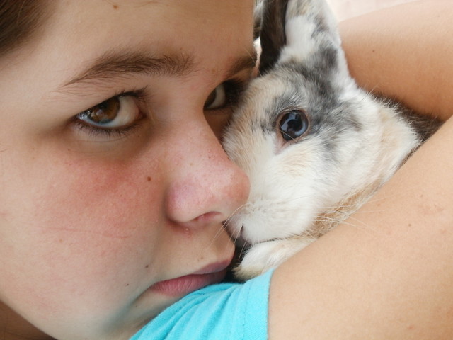 KUIK ; x