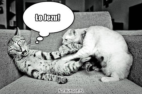 Hahahahah xdd
