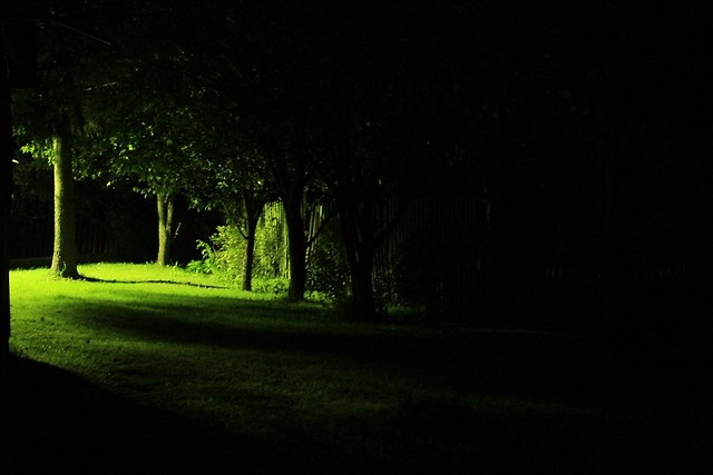 Podlaska noc
