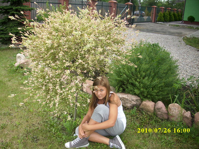 WamM... :D
