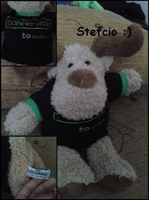 Stefcio :)