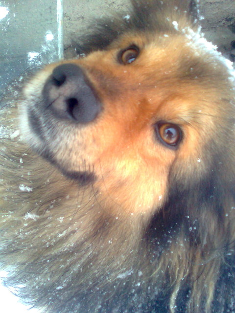 Mj cezarek:**