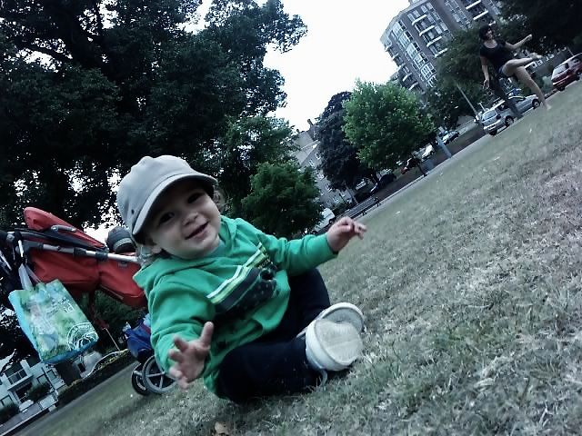 nicolai