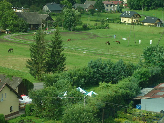 Stadnina w Czechach 