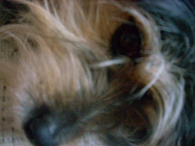 KUFCIO ;***