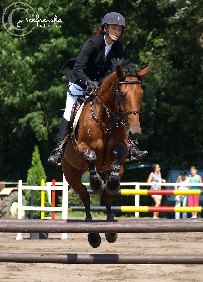MPA 2010